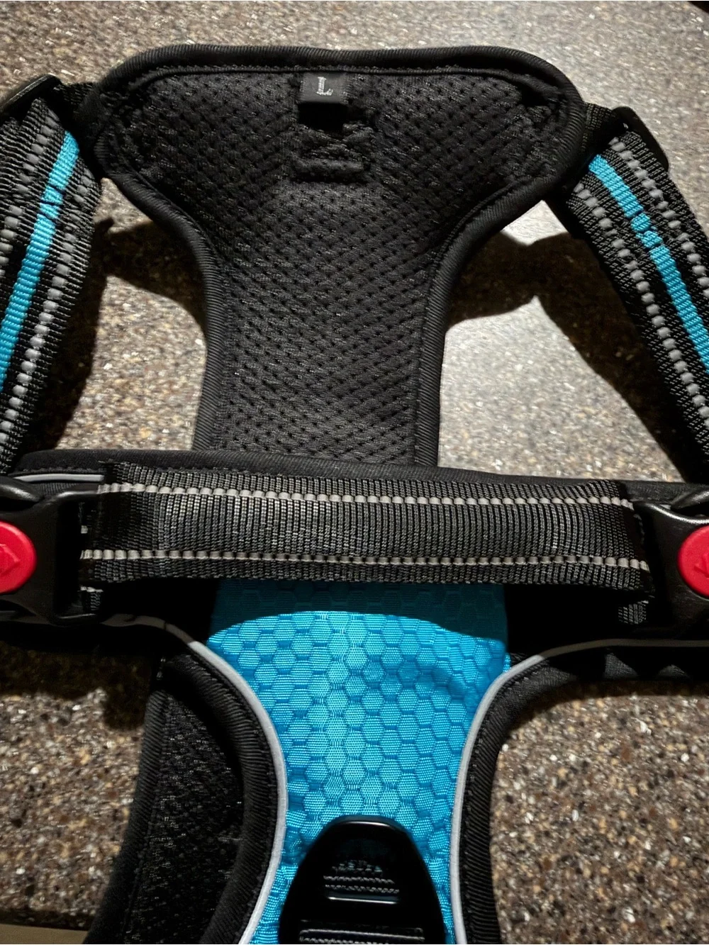 NWT no- pull Dog harness and leash (Large) in blue. Never used. 5 ft. Leash